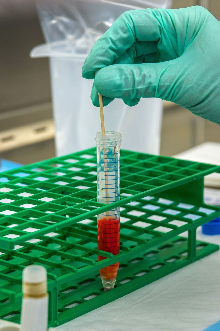 Gloved hand pipetting a red liquid sample into a lab test-tube rack